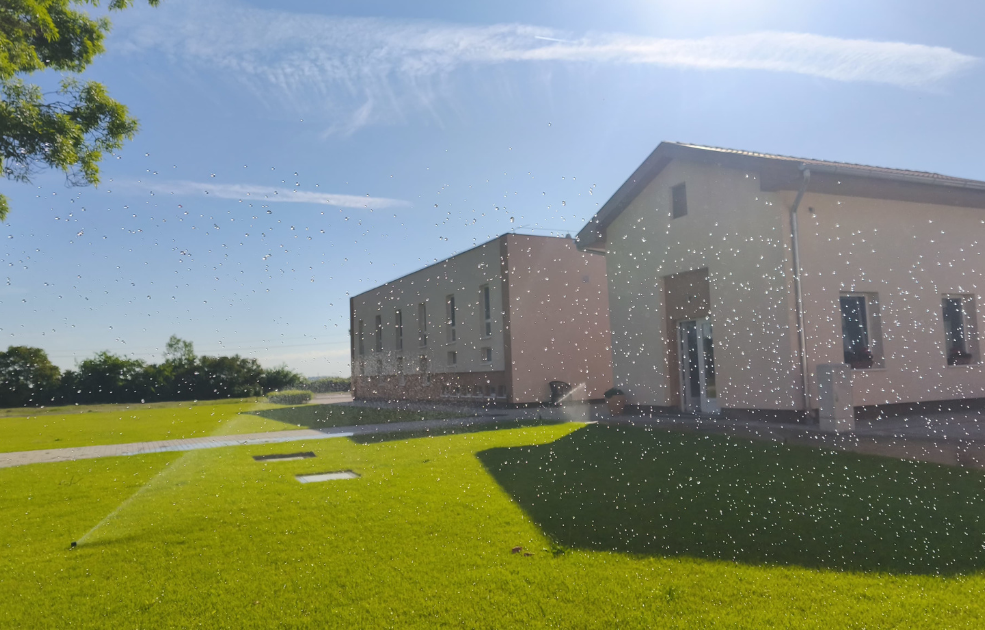 Untitled design (29)