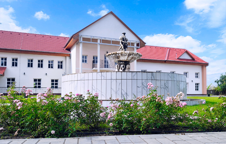 Elegancia, Stílus, Siker: Páva Kúria, Az Ön Rendezvényhelyszíne Cegléden