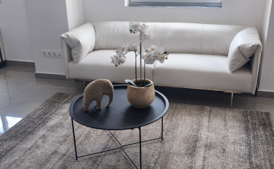 Untitled design (44)